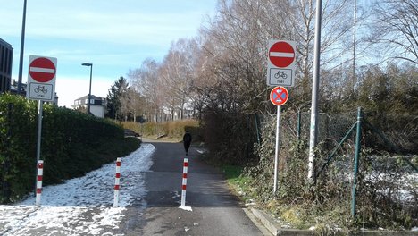 Photo eines mit Pollern abgesperrten Bereichs der Weststraße
